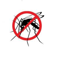 Mosquito Treatment Perth image 2